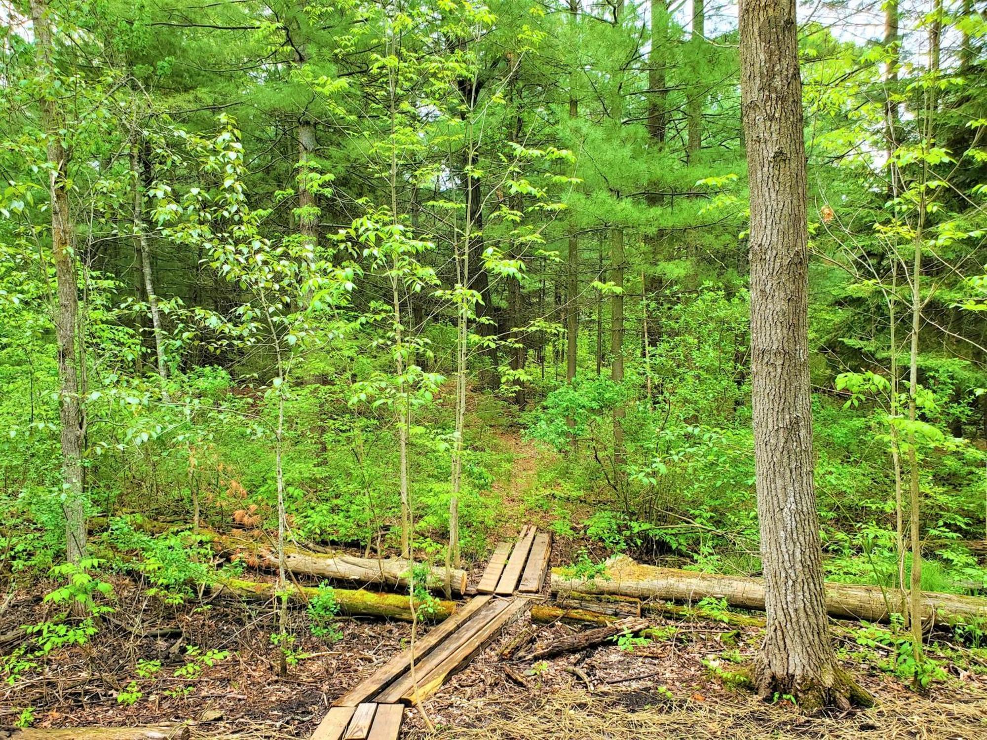 Steps To Beach-Hot Tub-Fireplace-Northern Original Vila Traverse City Exterior foto